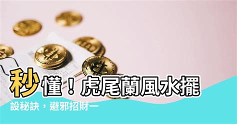 虎尾蘭風水擺設